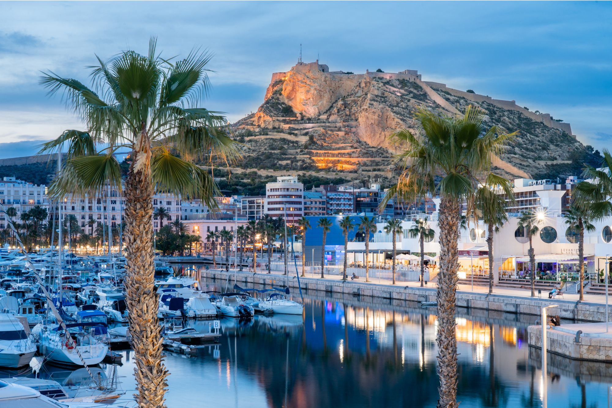 . CdA Casas de Alicante en Alicante